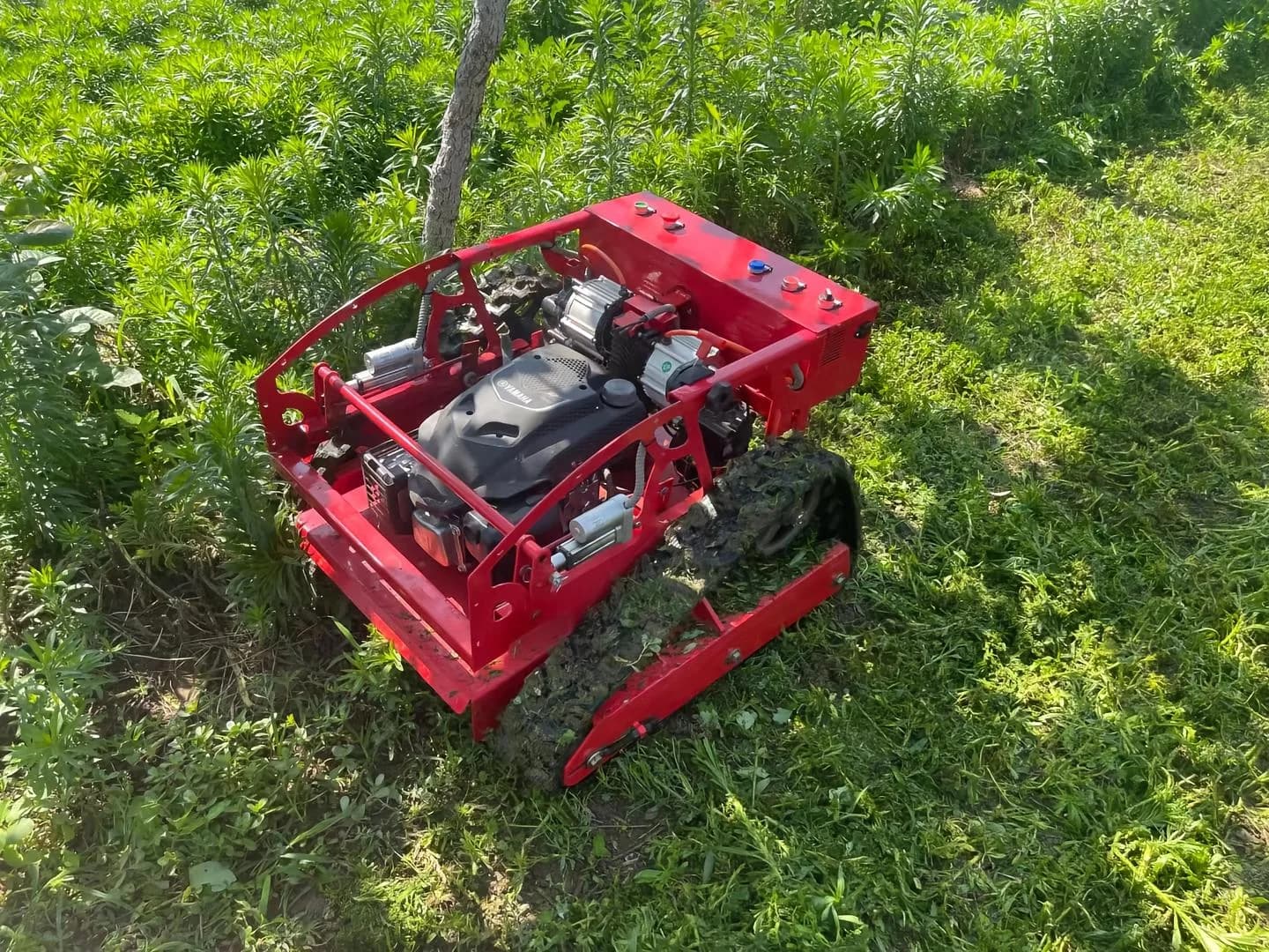 Tracked remote-control mower photographed in vegetation
